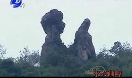 大奥十八景 在线观看,宫廷秘史，权谋与美色的交织